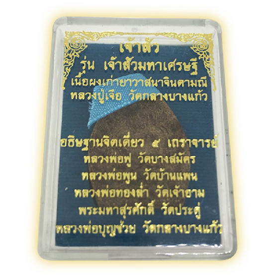 เจ้าสัวมหาเศรษฐี เนื้อยาวาสนาจินดามณี หลวงปู่เจือ ปี 52 เจ้าสัวมหาเศรษฐี เนื้อยาวาสนาจินดามณี หลวงปู่เจือ ปี 52