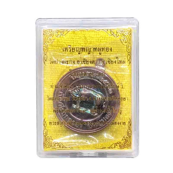 เหรียญพญาหมูทอง หลวงพ่อรักษ์ อนาลโย เนื้อทองแดงผิวรุ้ง
